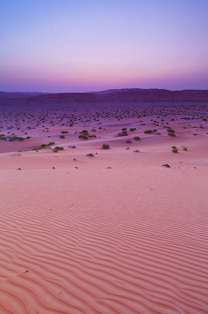 Sunset Over Sand Dune Landscape, Liwa Oasis, Abu Dhabi, United Arab Emirates