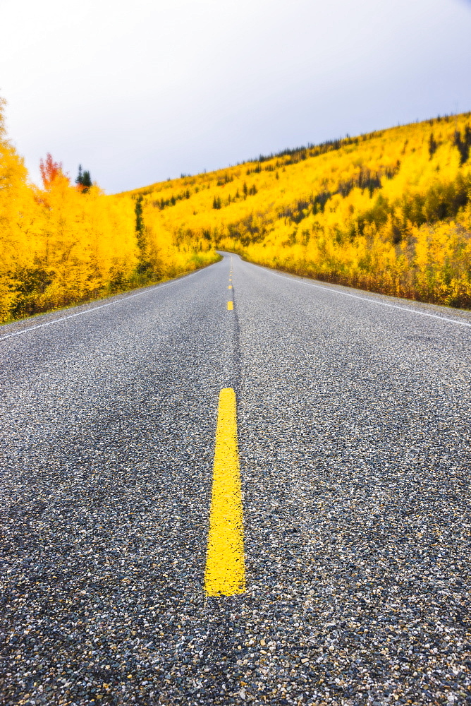 Road Detail Traveling The Steese Highway North Of Fairbanks In Autumn, Fairbanks, Alaska, United States Of America