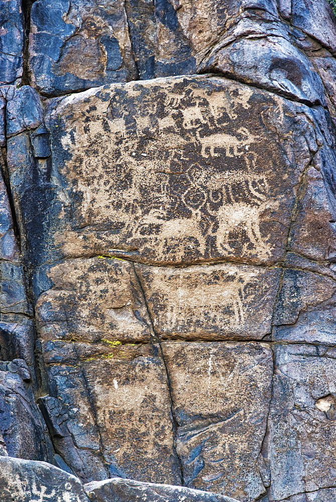 Prehistoric Rock Art, Superstition Mountains, Tonto National Forest, Arizona, United States Of America