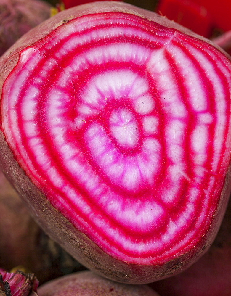 Chiogga Beet Cut In Half To Reveal The Red And White Candy-Stripes, Toronto, Ontario, Canada