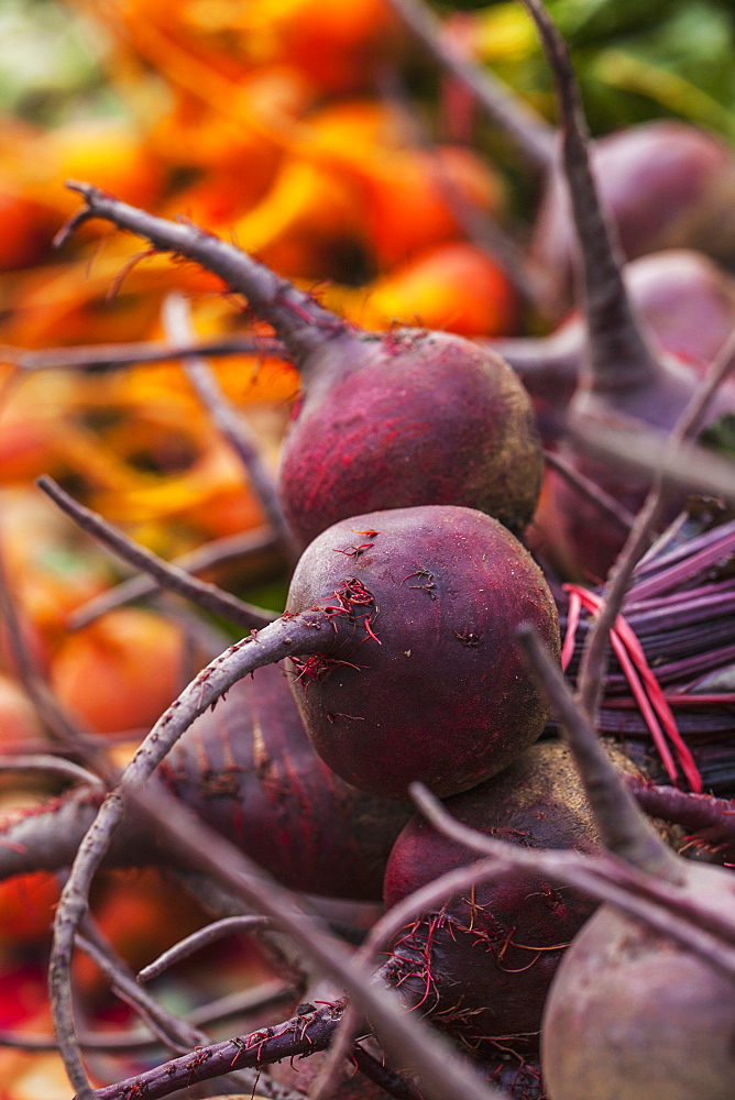 Red And Golden Beets At A Farmers Market, Toronto, Ontario, Canada