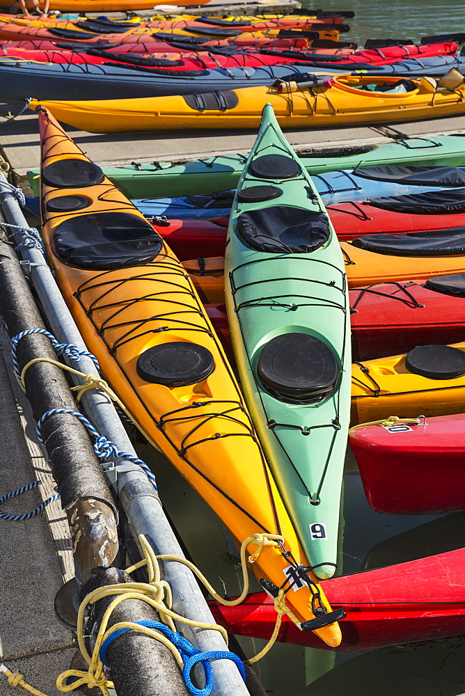 Multi-Coloured Kayaks Together At Boat Dock, Prince William Sound, Valdez, Alaska, United States Of America