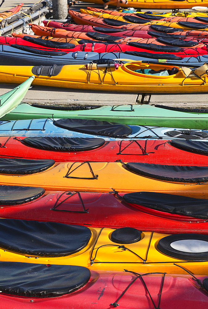 Multi-Coloured Kayaks Together At Boat Dock, Prince William Sound, Valdez, Alaska, United States Of America