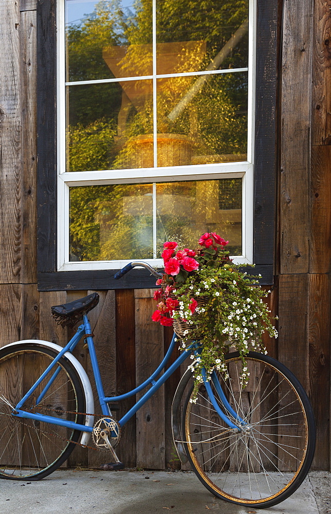 Decorative Flowers And Bikes Adorn The True Grain Bakery On Vancouver Island, British Columbia, Canada