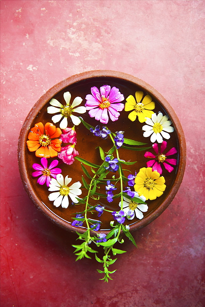 Colourful Flowers Placed In A Shallow Bowl Of Water For Decoration, Ulpotha, Embogama, Sri Lanka