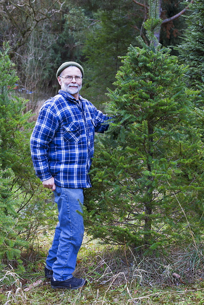 Christmas Tree Hunt, Yarrow, British Columbia, Canada