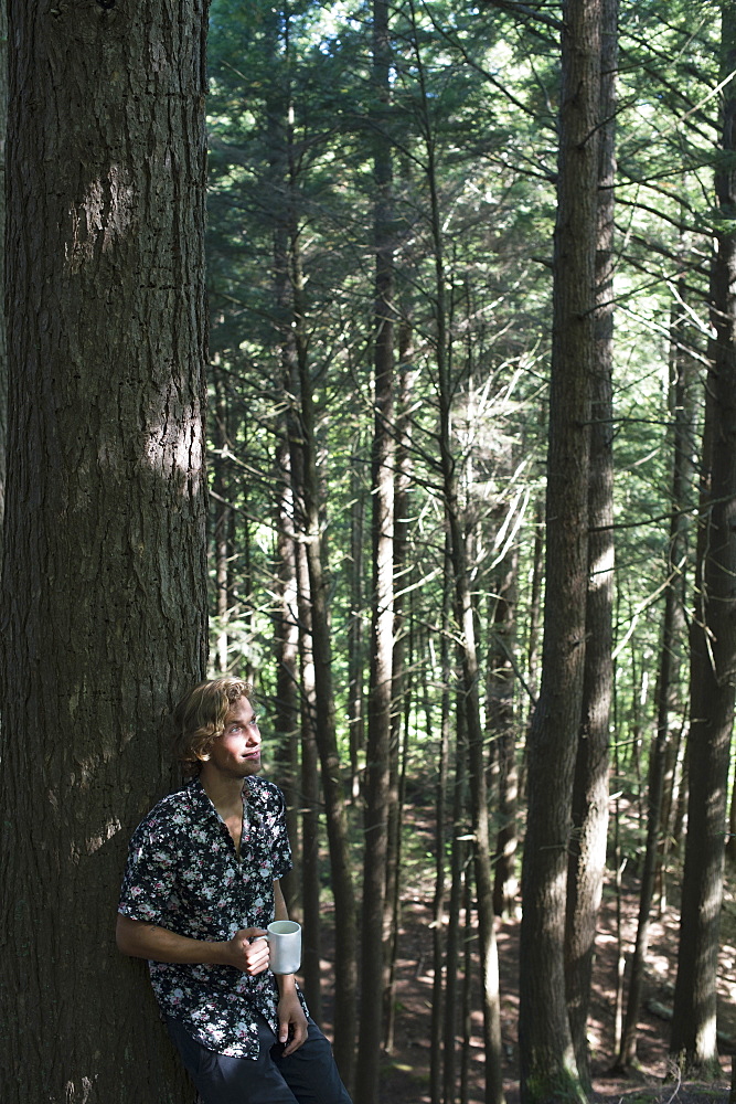 Young Man Standing In A Forest With A Cup Of Coffee, Little River State Park, Waterbury, Vermont, United States Of America