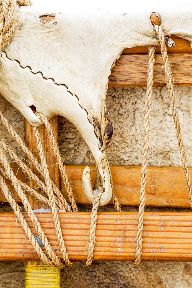 Detail View Of The Interior Of An Umiak Skin Boat, Barrow, North Slope, Arctic Alaska, USA, Winter