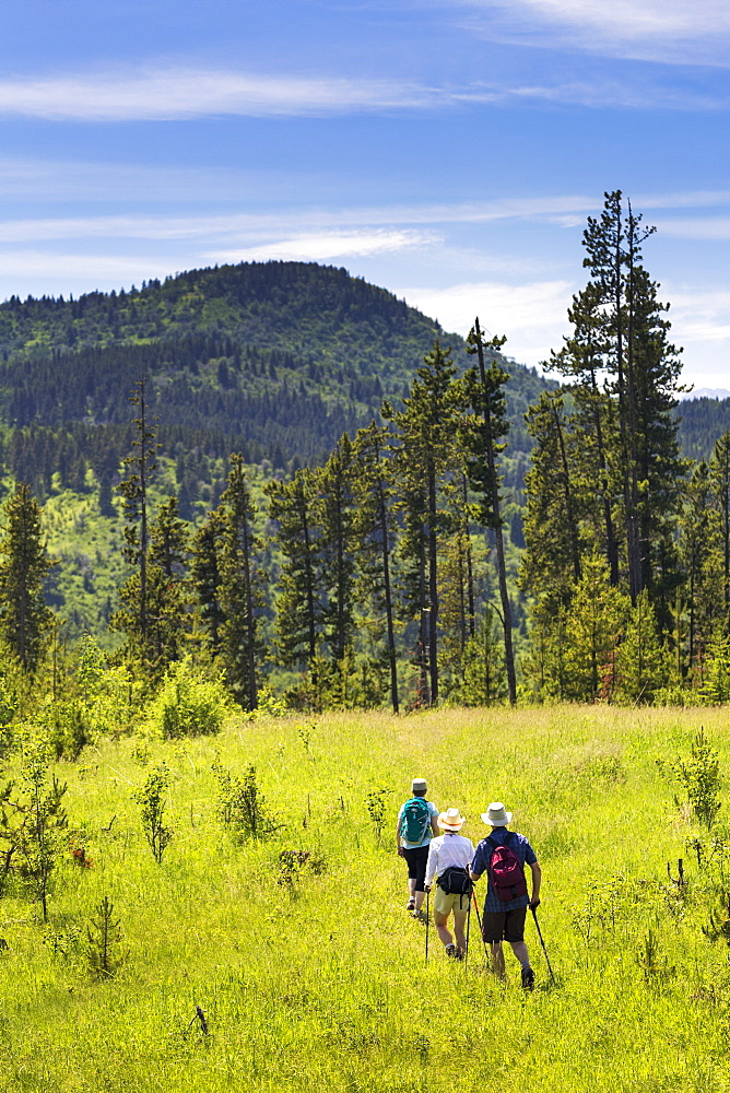 Hikers On Grassy Trail With Rolling Foothills In The Background, Kananaskis Country, Alberta, Canada