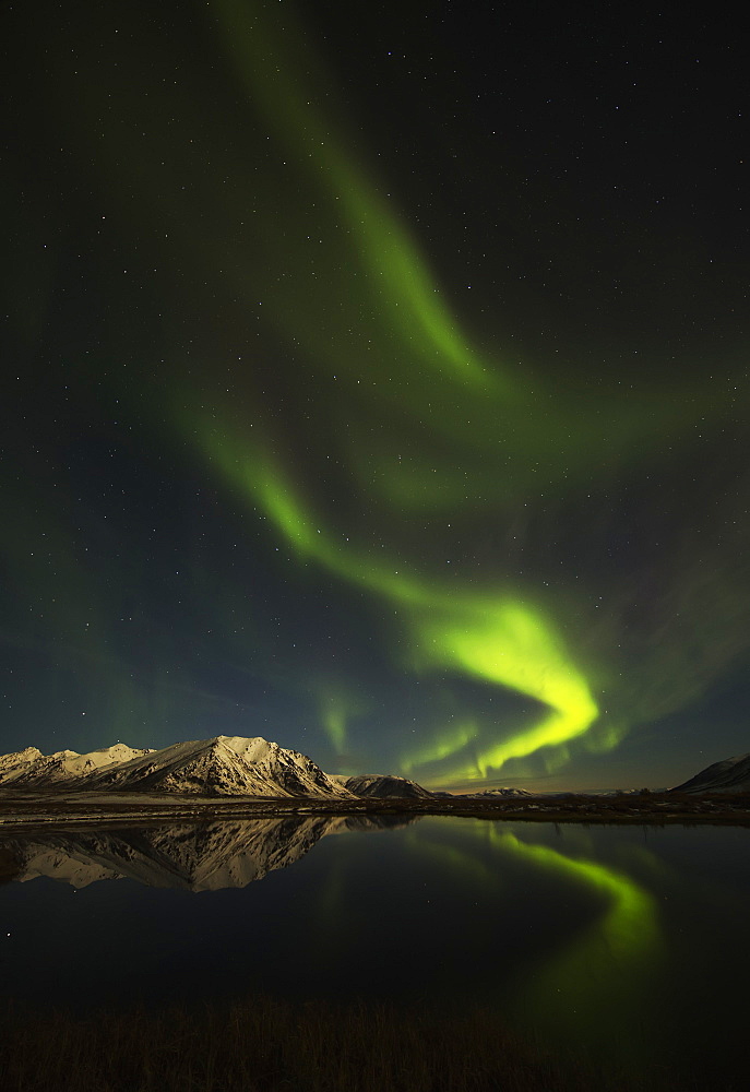 Northern Lights (Aurora Borealis) Over The Dempster Highway And Reflected Into A Pond, Yukon, Canada