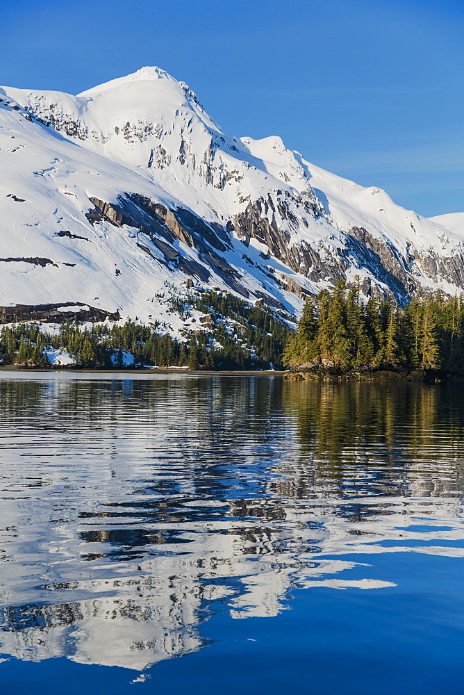 Snow Covered Cliffs And Evergreen Trees Bathed In Sunset Light On The Shore Of Kings Bay, Prince William Sound, Whittier, Alaska, United States Of America