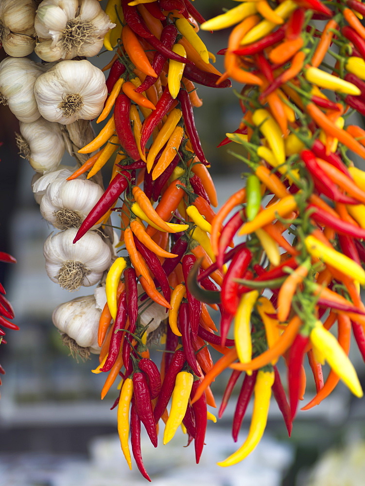 Hanging Colourful Peppers And Garlic Bulbs, Amalfi, Italy