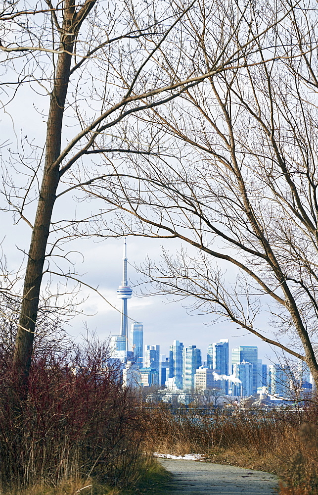 View Of Downtown Toronto From Tommy Thompson Park, Toronto, Ontario, Canada