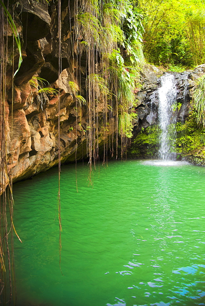 Lagoon With Small Waterfall, Annandale Falls, St. Georges, Grenada