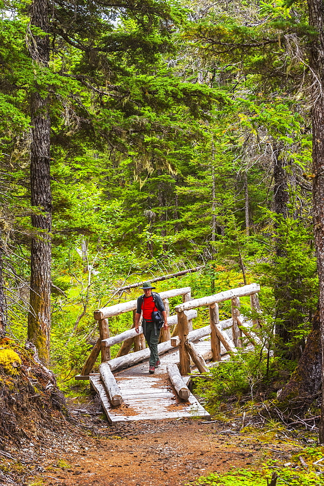 A Man Hiking Across A Log Bridge On The Turnagain Pass Trail In The Chugach National Forest, South-Central Alaska, Alaska, United States Of America