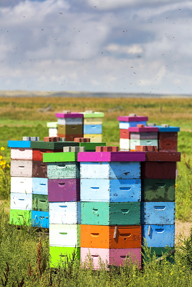 Colourful Stacked Bee Hive Boxes In A Field With Clouds Above, North Of Rolling Hills, Alberta, Canada