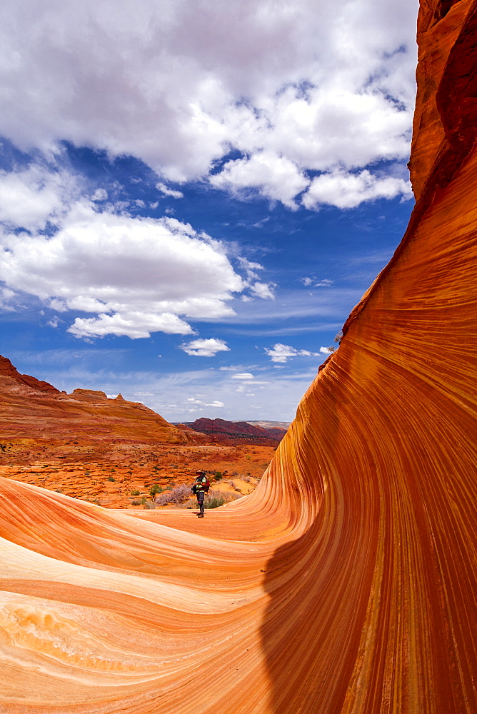 View Of A Hiker In The Sandstone Formation Known As The Wave, Vermillion Cliffs, Arizona, United States Of America