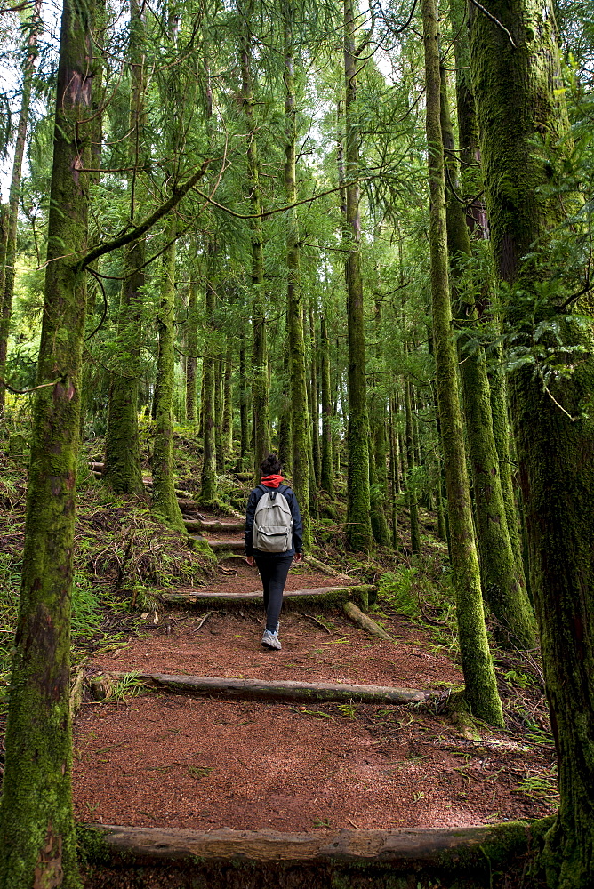 Young Woman Trekking In Sete Cidades, Ponta Delgada, Sao Miguel, Azores, Portugal