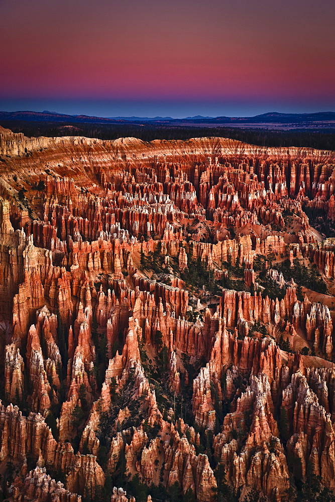 Bryce Canyon National Park, Utah, United States Of America