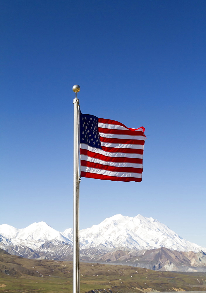 American Flag In Denali National Park With Denali In The Background, Interior Alaska In Summertime, Alaska, United States Of America