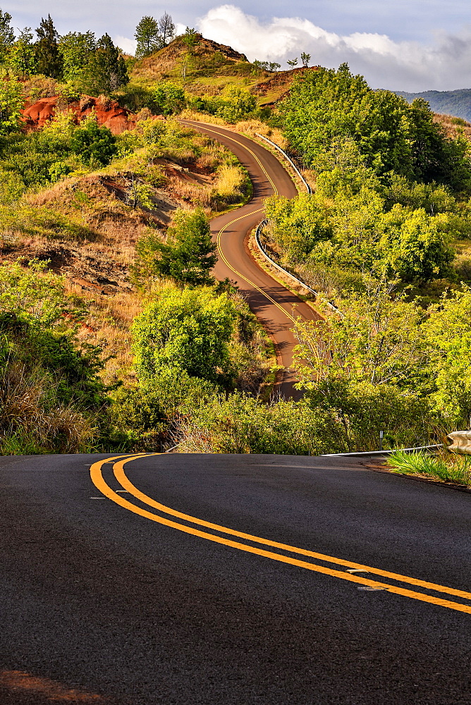 A Winding Road Up Through The Landscape With Lush Vegetation, Waimea, Kauai, Hawaii, United States Of America