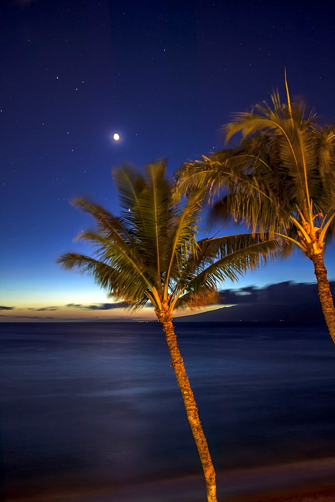 Moon And Stars In The Night Sky With Palm Trees Along The Coast In The Foreground, Maui, Hawaii, United States Of America