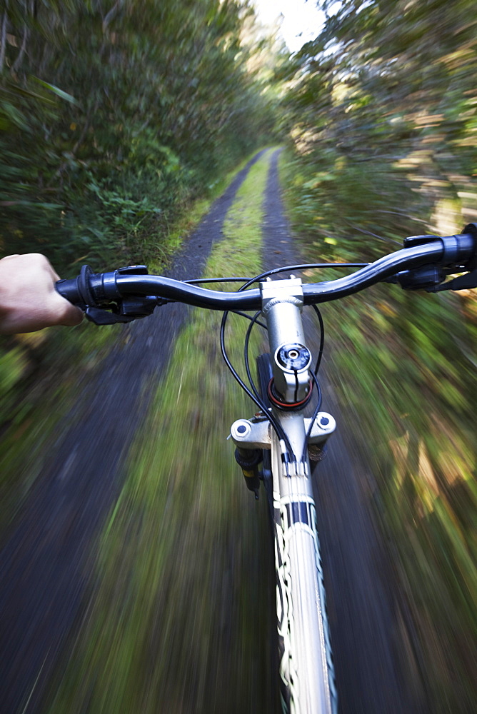 Mountain Biking On A Trail Through A Forest, Alaska, United States Of America