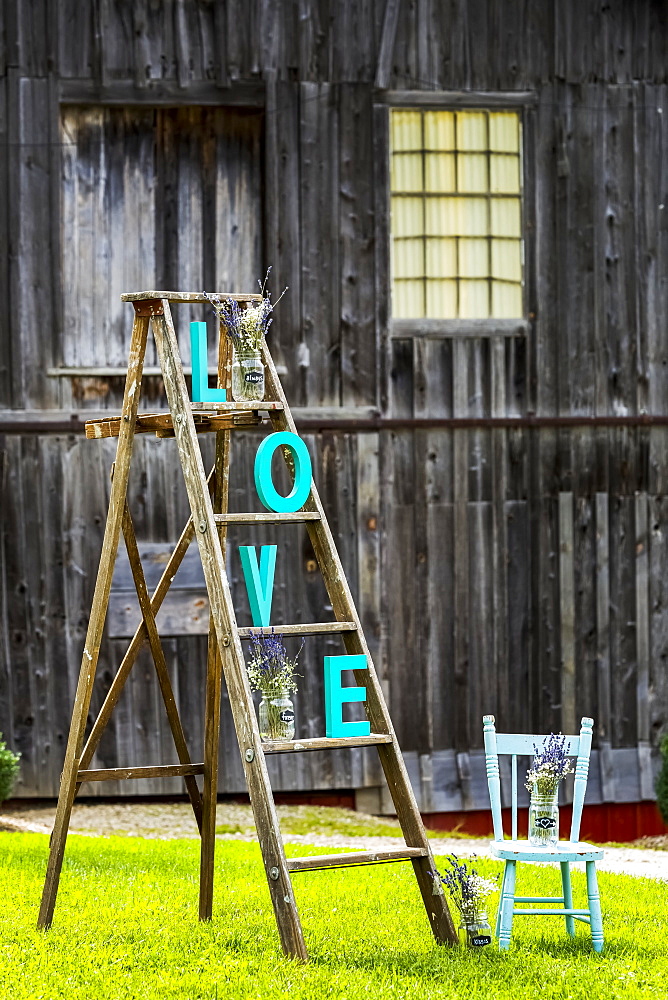 Wooden Ladder On Grassy Lawn With "l O V E" Letters Placed On Steps With Old Rustic Wooden Barn In The Background And Old Wooden Painted Chair, Walters Fall, Ontario, Canada