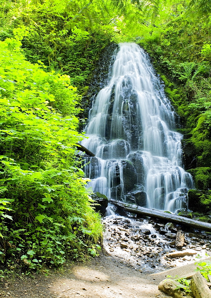 Fairy Falls, Columbia River Gorge National Scenic Area, Oregon, Usa