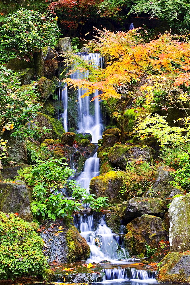 Portland, Oregon, United States Of America; A Waterfall In The Portland Japanese Garden In Autumn