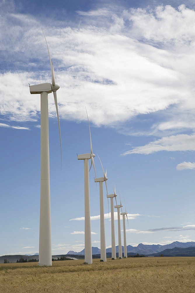 Pincher Creek, Alberta, Canada; Wind Turbines In A Row In A Wheat Field