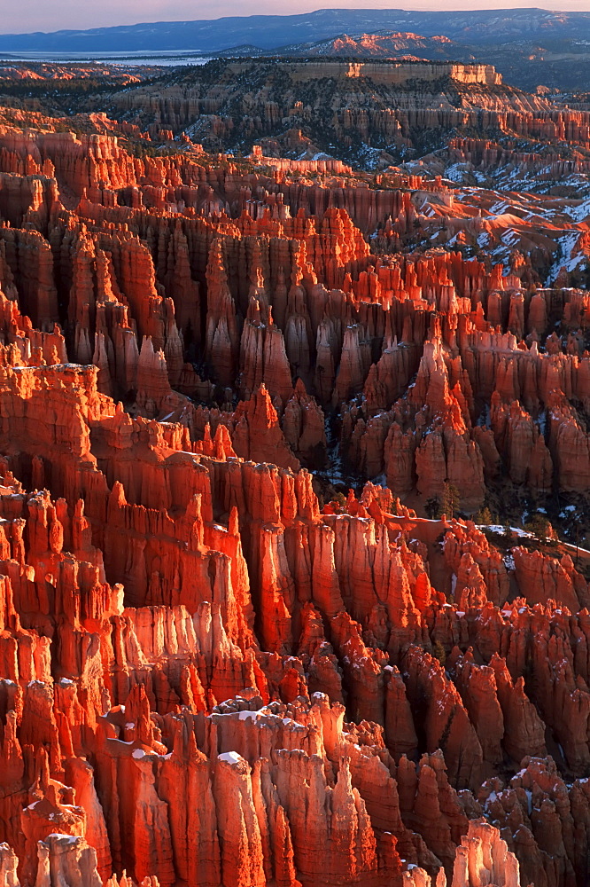 Utah, United States Of America; Sandstone Hoodoos Of Bryce Amphitheater Viewed From Inspiration Point At Sunrise In Winter In Bryce Canyon National Park