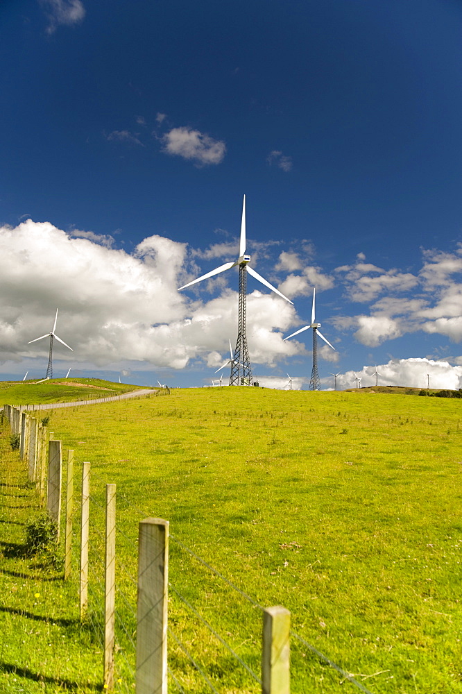 Wind Turbines In A Field; Palmerston North, New Zealand