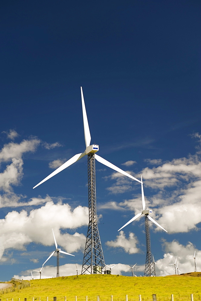 Palmerston North, New Zealand; Wind Turbines In A Field