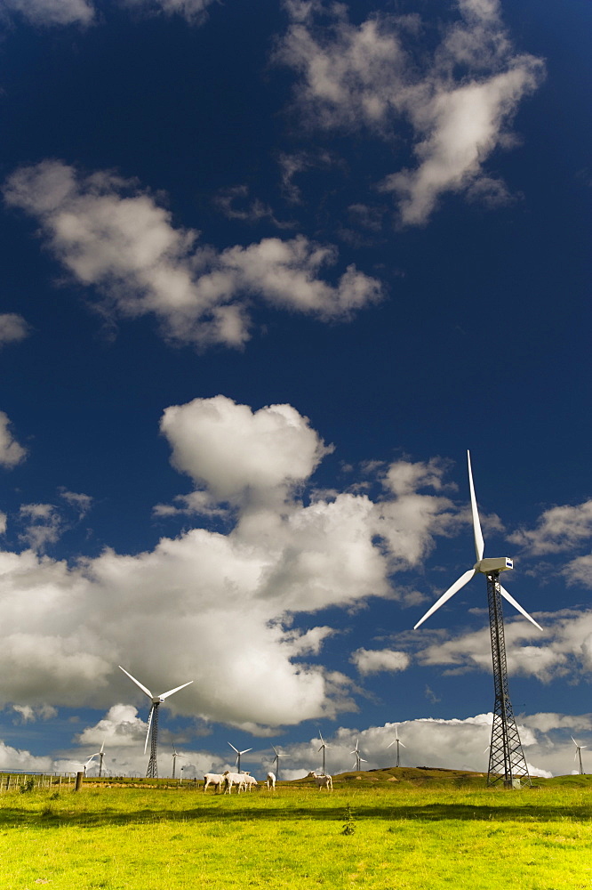 Palmerston North, New Zealand; Wind Turbines