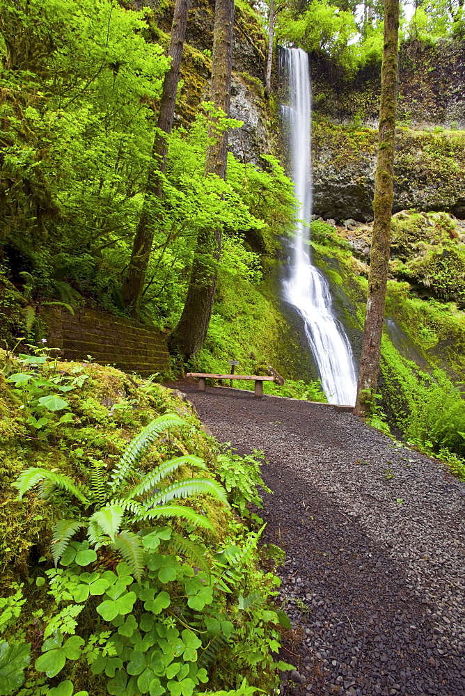 Winter Falls In Silver Falls State Park; Oregon, USA