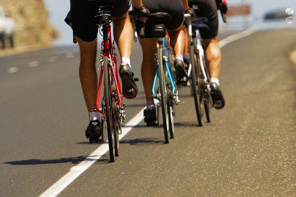 Rear view of a group of people cycling