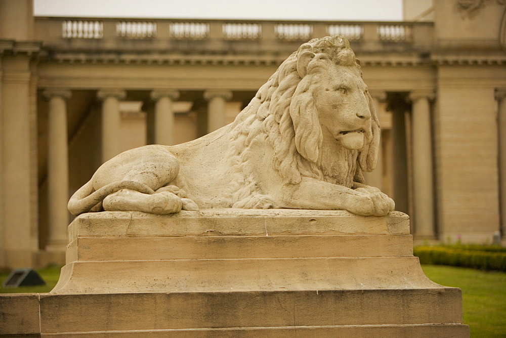 Close-up of the statue of a lion in a palace, California Palace of the Legion of Honor, San Francisco, California, USA