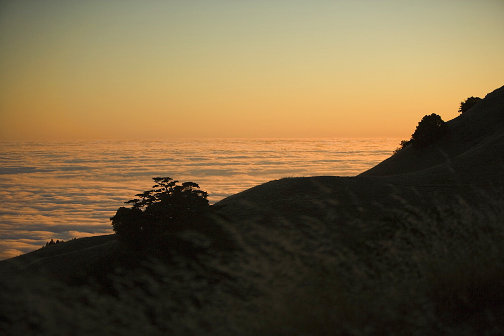 High angle view of clouds around a hill, Mt. Tamalpais State Park, California, USA