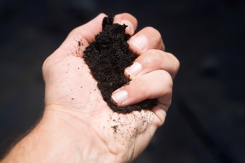 Close-up of a person's hand holding soil