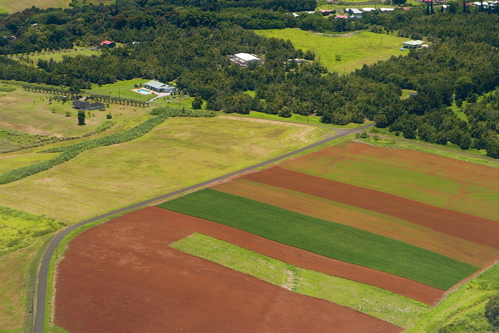 High angle view of a landscape, Hilo, Big Island, Hawaii Islands, USA