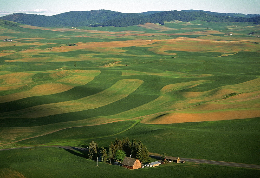 Aerial, farm country 