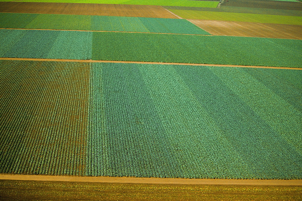 Aerial of farm fields