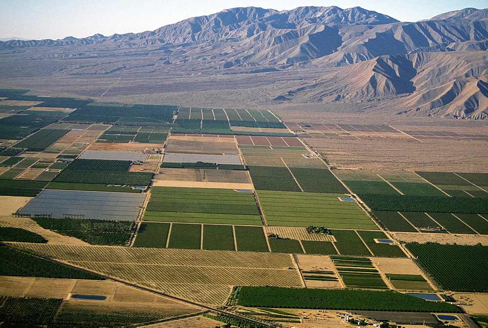 Desert agriculture, Imperial Valley, California