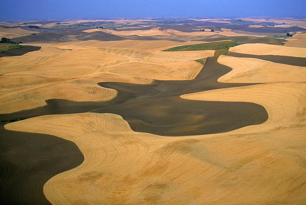 Aerial view of contour plowed fields, Washington state