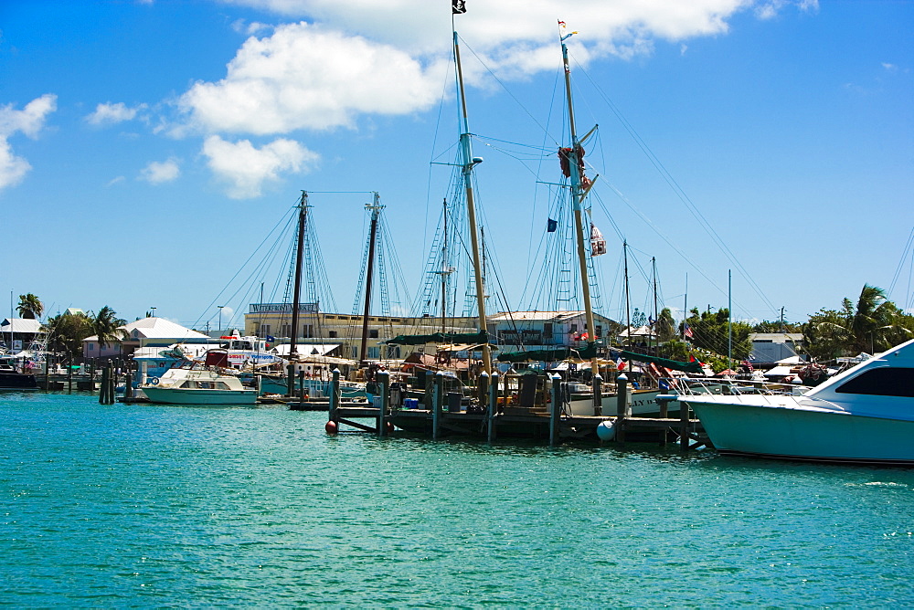 Boats moored at a harbor, Key West, Florida, USA