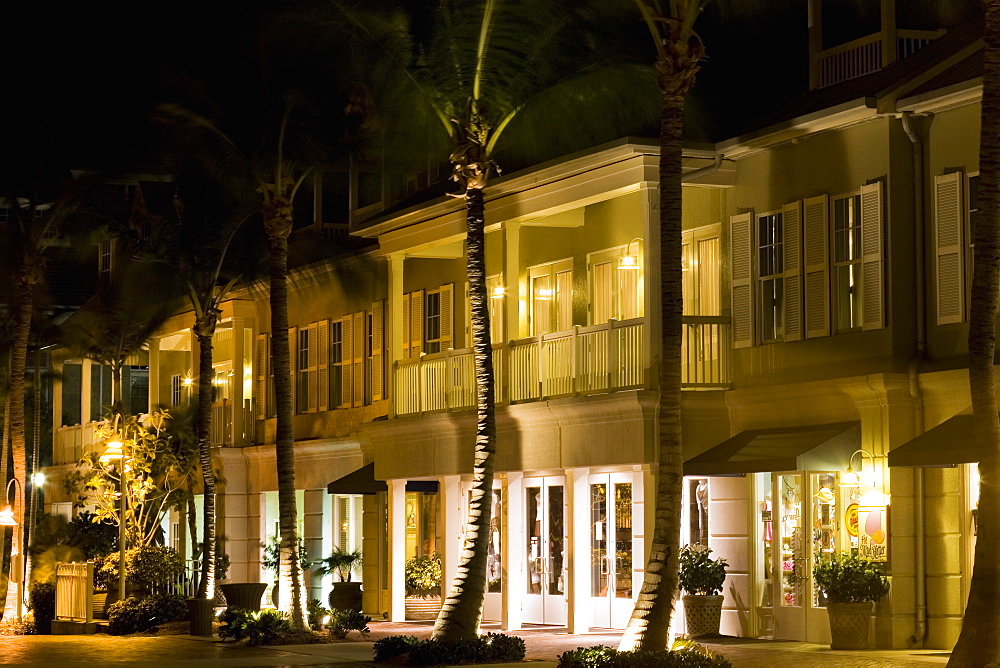 Palm trees in front of a house, Key West, Florida, USA