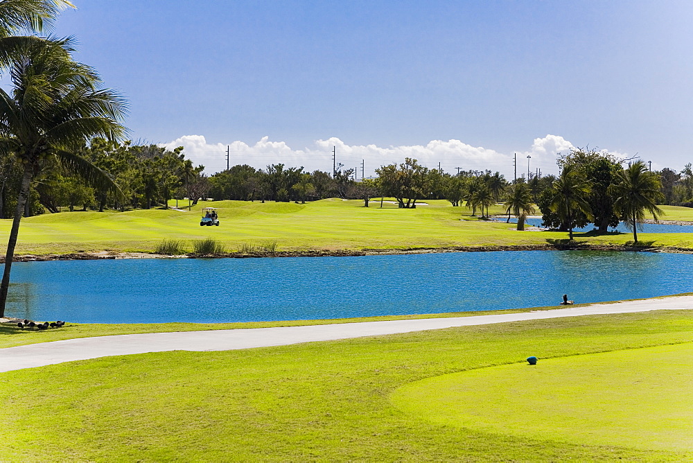 Lake in a golf course, Key West, Florida, USA