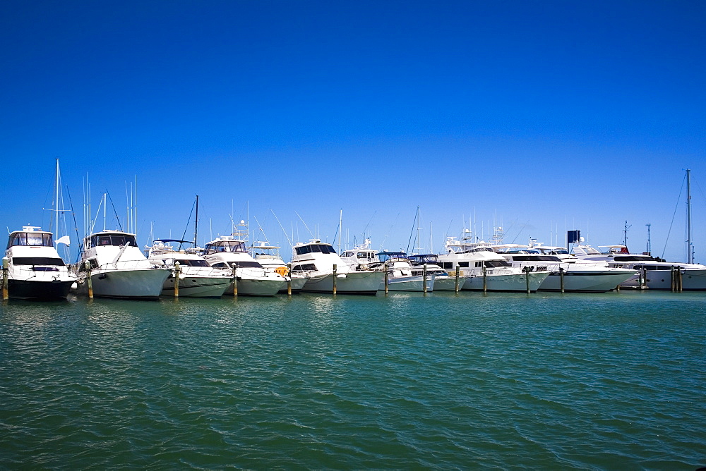 Boats docked at a harbor, Garrison Bight Marina, Key West, Florida, USA