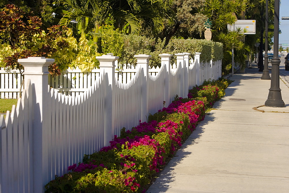 Fence along a sidewalk, Truman Avenue, Key West, Florida, USA